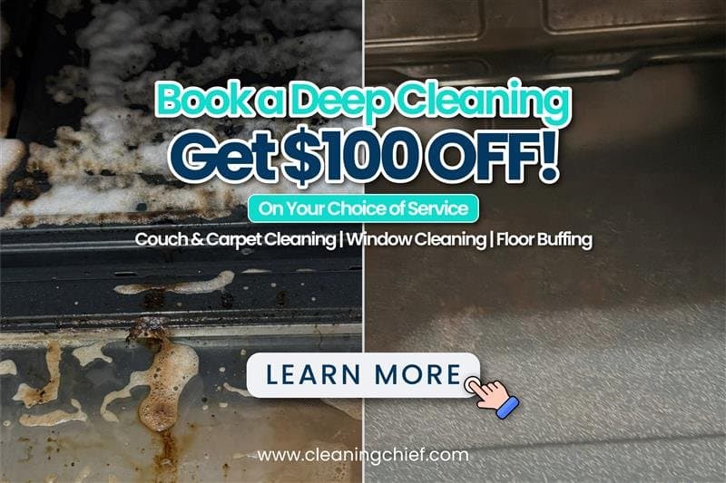 Social Media Ads: Targeted platforms for visibility